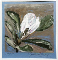 Magnolia