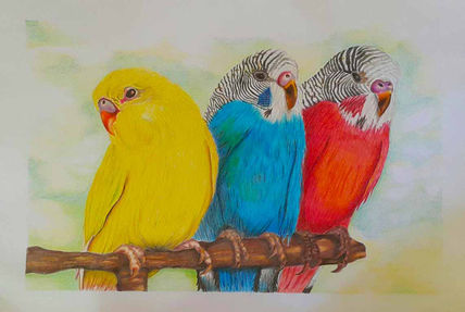 Trío de pájaros
