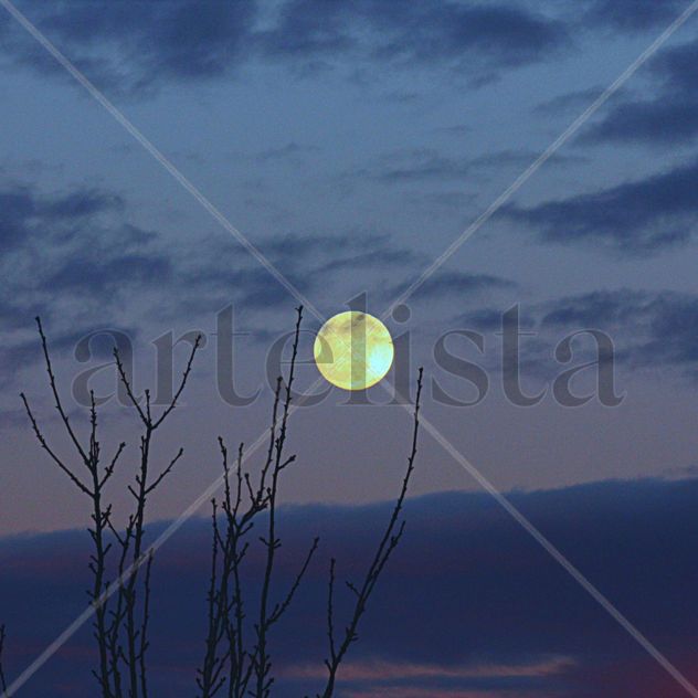 Luna de Valdemoro