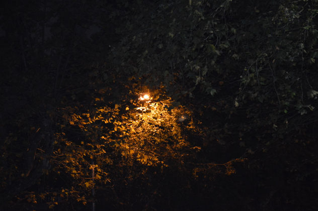 luz de farola