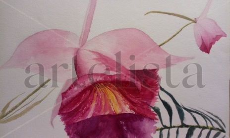 Acuarela floral