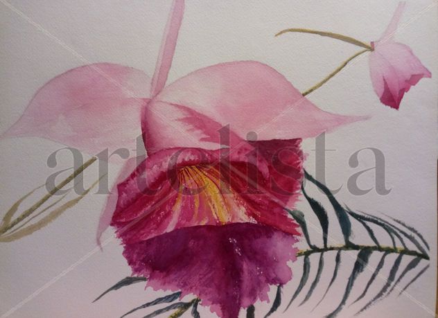 Pareja de flores 2