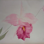 Acuarela floral thumbnail 1