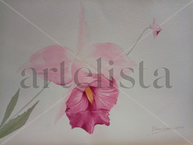 Ahora y después Watercolour Paper Floral Painting