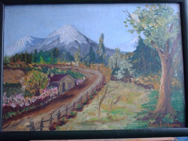 Campo en el sur de Chile