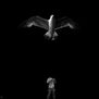 El hombre gaviota II