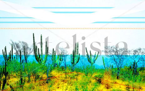 Jardín de cactus en...