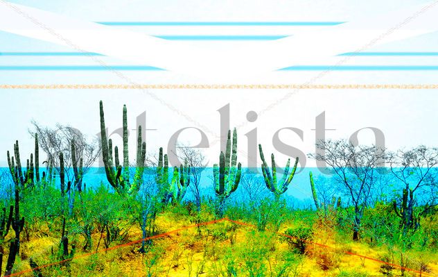 Jardín de cactus en Todos Santos, B. C.