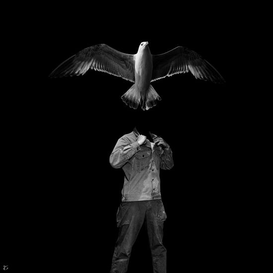 El hombre gaviota I Others Portrait