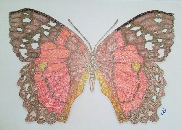 Anartia A. (L.)