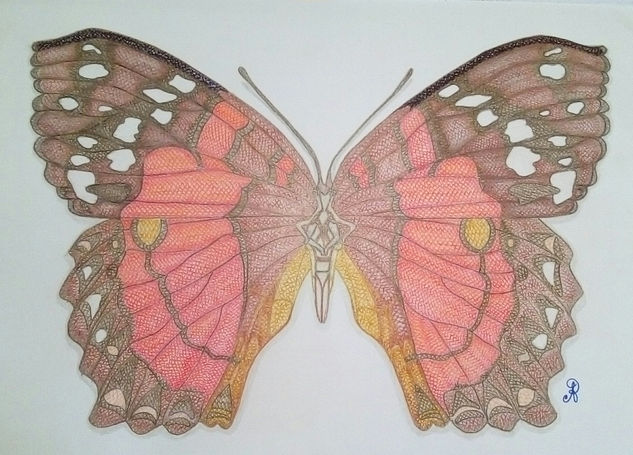 Anartia A. (L.) Mixed Media