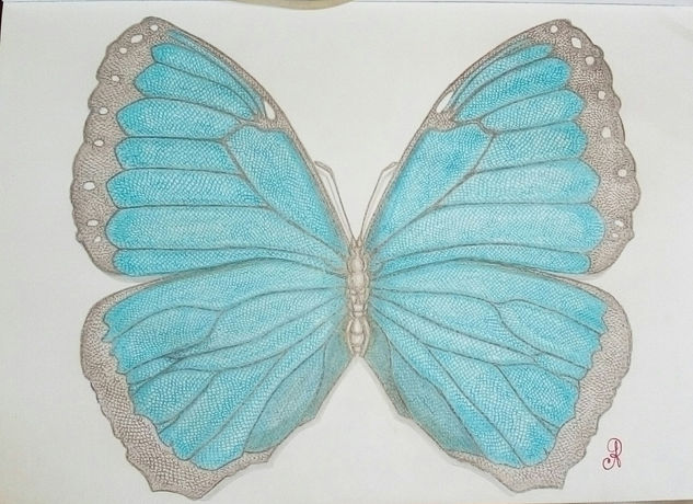 Morpho H. C. Mixed Media