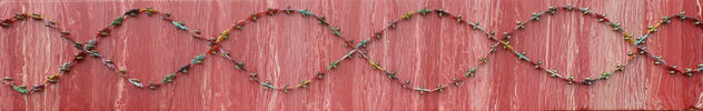 puzzles de adn
