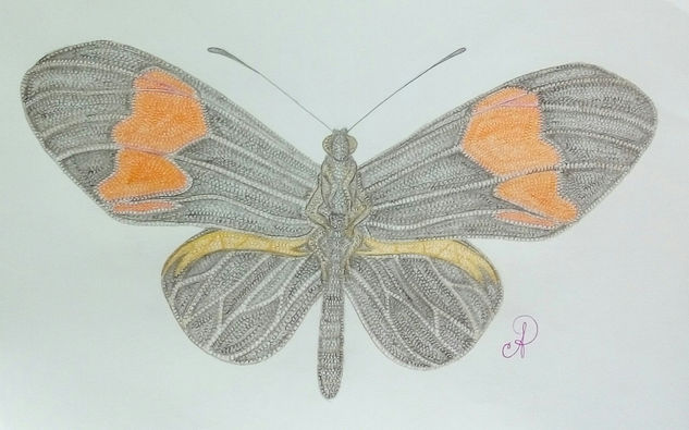 Heliconuis e. (L.) Mixed Media