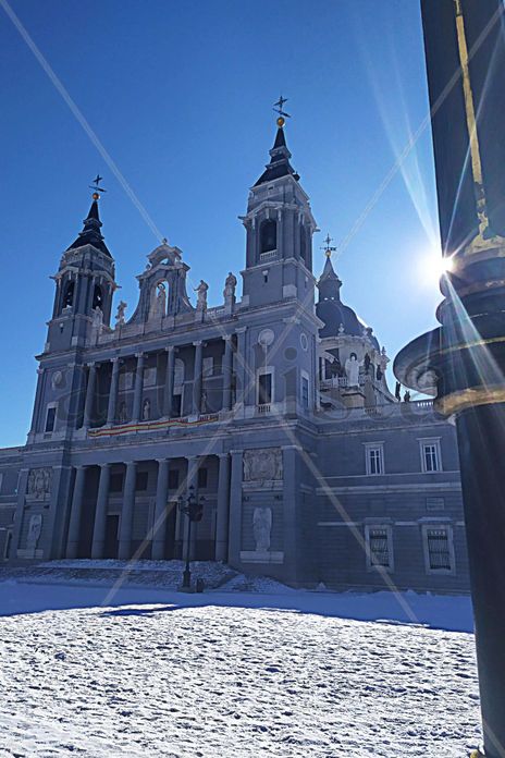 Luz nívea