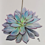 Flores ornamentales thumbnail 1