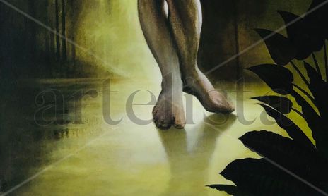 Desnudos