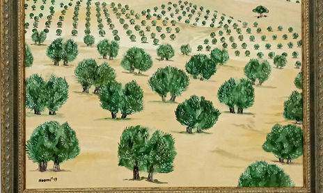 Aceite, Oliva y Olivar