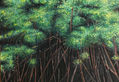 MANGLAR