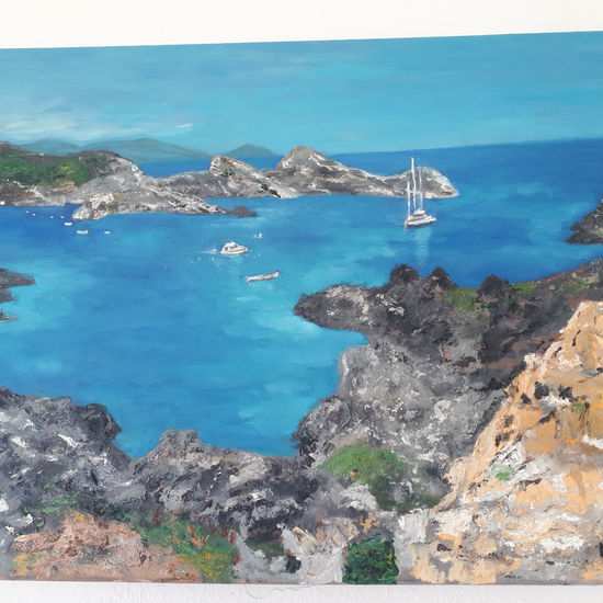 Cap de creus Oil Canvas Landscaping