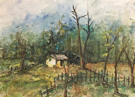 Paisaje de campo