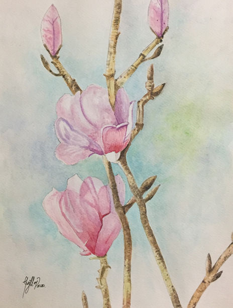Arbol de magnolia