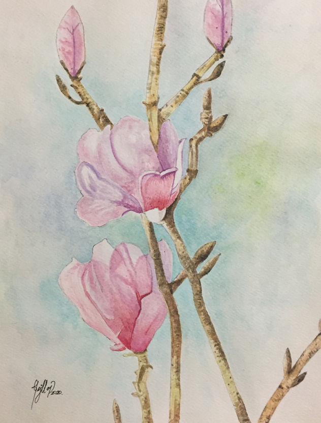 ARBOL DE MAGNOLIA