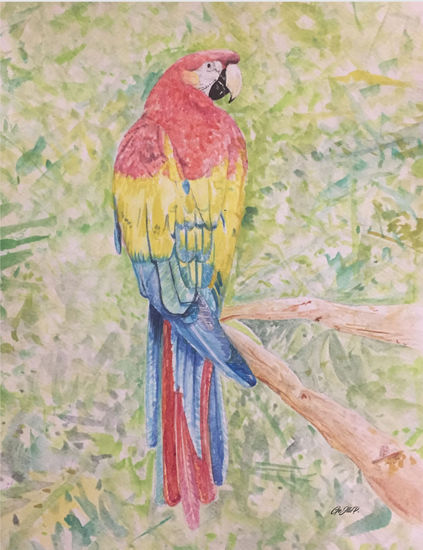 Guacamaya Watercolour Paper Animals