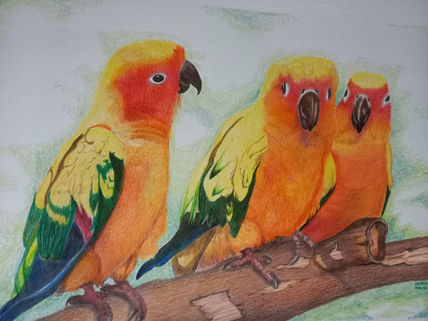 Tres miradas