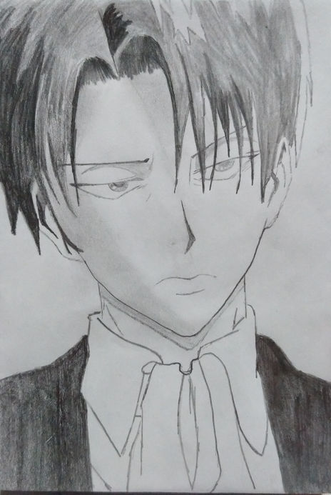 Levi