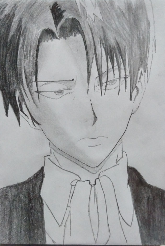 Levi