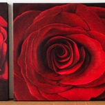 Flores thumbnail 1