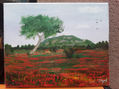 Amapolas