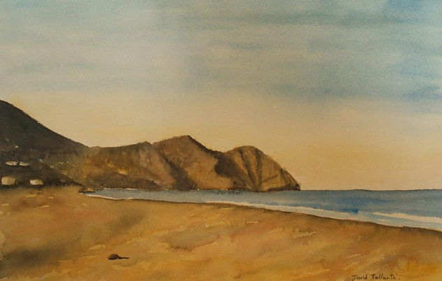 El Algarrobico, sin macrohotel. Watercolour Paper Marine Painting