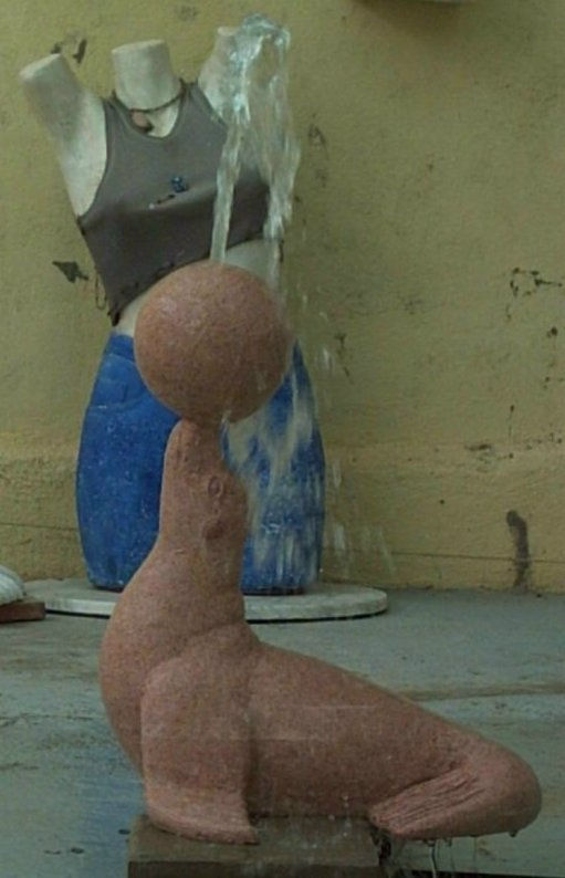 Foca Fuente Rojo
