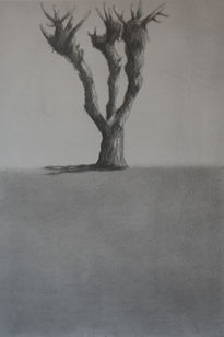 Árbol 4