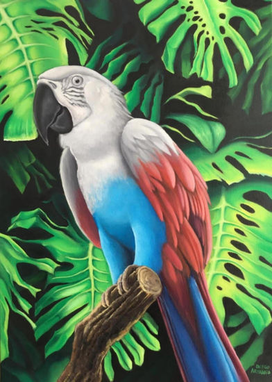 guacamaya Óleo Lienzo Animales