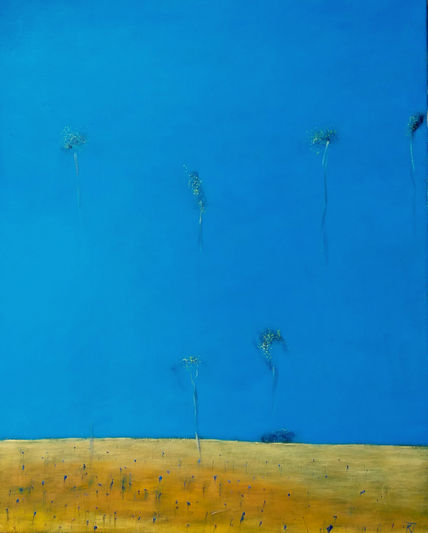 Cornflowers Field