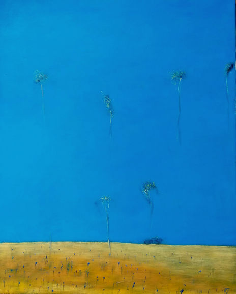 Cornflowers Field