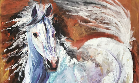 caballos