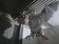 Aguila de acero inoxidable  1000 mm
