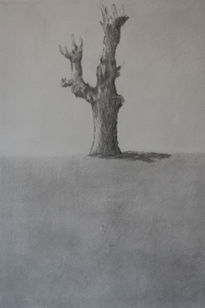 Árbol 3