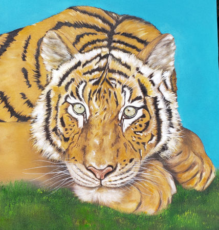 Tigre