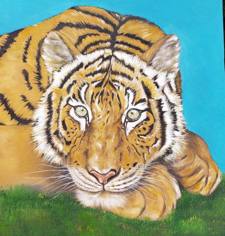Tigre