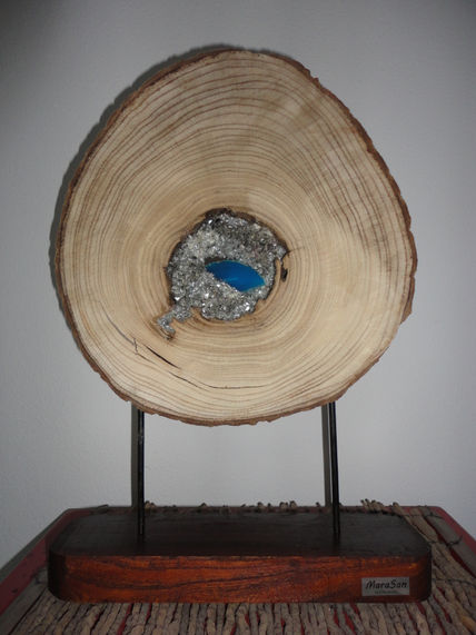 Geoda madera -...
