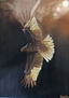 águila