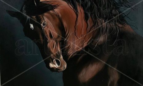 caballos