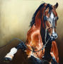 Caballo arabe