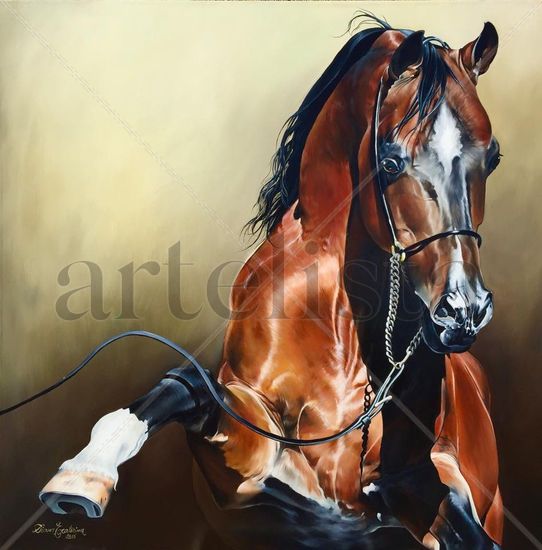 Caballo arabe Oil Canvas Animals