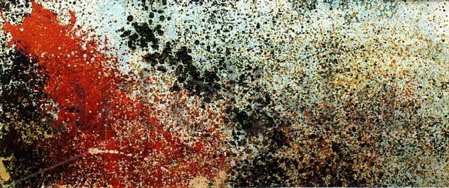 MOENIX,1981